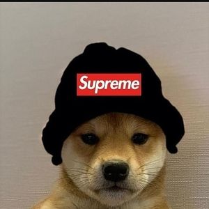 Meet your Posher, Samuel